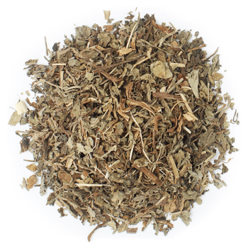 Getrockneter Löwenzahn