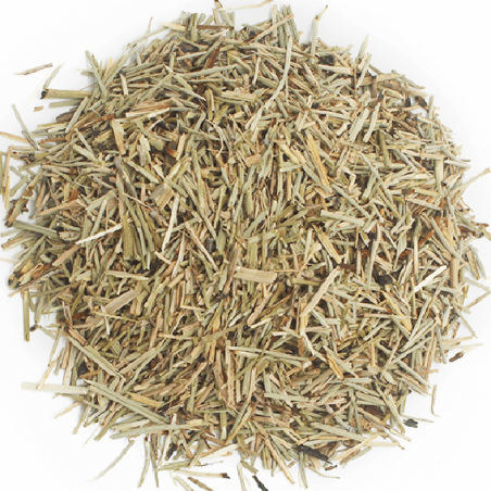 Trockener Augentrost