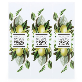 Kaufe Aufkleber mit Früchten und Blumen. Online-Verkauf