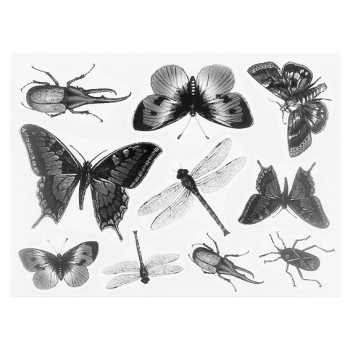 Kaufen Sie dekorative Insektenaufkleber. Online-Verkauf.