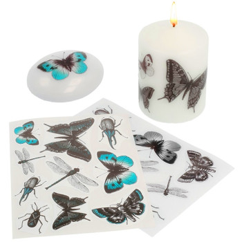 Kaufen Sie dekorative Insektenaufkleber. Online-Verkauf.