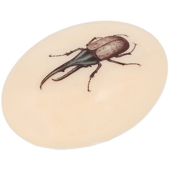 Kaufen Sie dekorative Insektenaufkleber. Online-Verkauf.