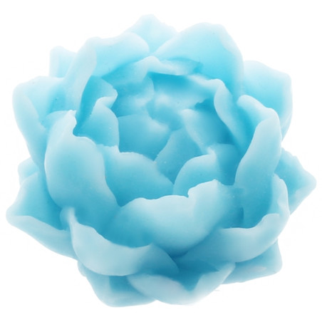 Kleine runde Seerose Seifenform