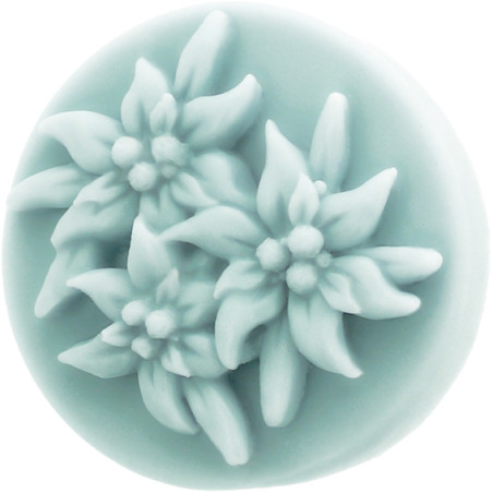 Pleseň na kvety Edelweiss