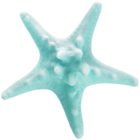 Mittlerer Seesternform