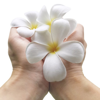 Essenz von Monoi zur Herstellung von Parfums, Kosmetika und Kerzen. Online-Verkauf Essenz von Monoi zur Herstellung von Parfums, Kosmetika und Kerzen. Online-Verkauf