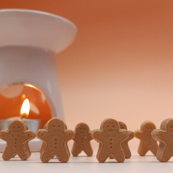 Set zur Herstellung von weihnachtlichen Wax Melts | Lebkuchenmann