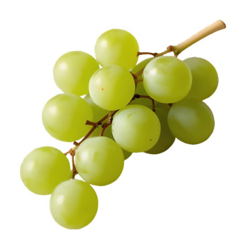 Traubenessenz für Kerzen und Lufterfrischer. Online-Verkauf