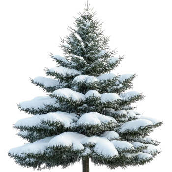 Aromatische Essenz „Verschneiter Weihnachtsbaum“ – Weihnachtsfrische für Ihr Zuhause