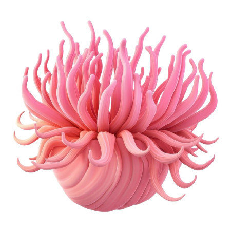 Ersatz-Lufterfrischer Mikado Rose Marine. Online-Verkauf