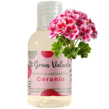 Aromatische Essenz der Geranie
