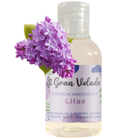 Aromatische Essenz von Flieder