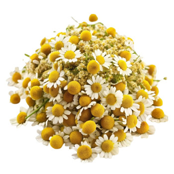 Aromatische Essenz der Kamille. Online-Verkauf.