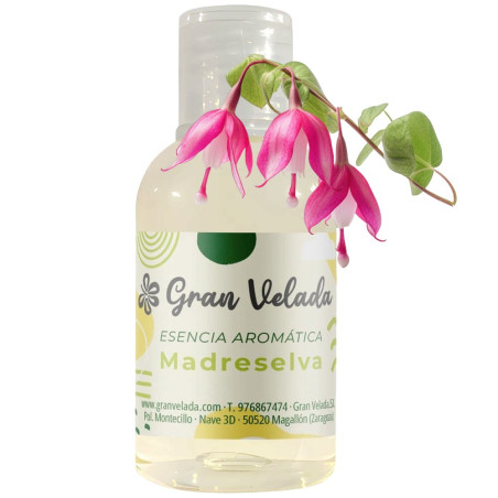 Aromatische Essenz des Geißblattes