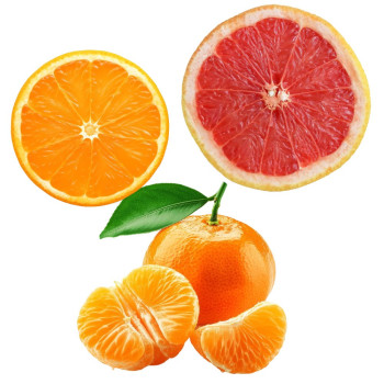 Zitrusessenzen – Orange, Grapefruit, Mandarine | Vorteilsset | Gran Velada Zitrusessenzen – Orange, Grapefruit, Mandarine | Vorteilsset | Gran Velada