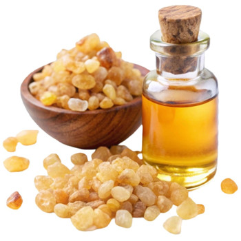 Aromatische Essenz von Moschus. Online-Verkauf. Gran Velada Aromatische Essenz von Moschus. Online-Verkauf. Gran Velada