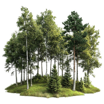 Aromatische Essenz frischer Wald. Frisch und kräutrig. Online-Verkauf