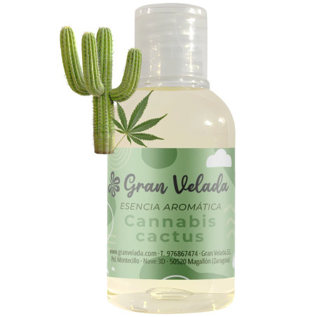 Essence gv Cannabis Kaktus