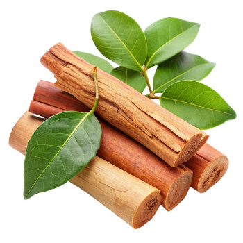 Sandelholz-Ätherisches Öl – beruhigend & pflegend für Haut, Haare und Aromatherapie Sandelholz-Ätherisches Öl – beruhigend & pflegend für Haut, Haare und Aromatherapie
