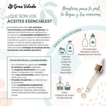 Sandelholz-Ätherisches Öl – beruhigend & pflegend für Haut, Haare und Aromatherapie Sandelholz-Ätherisches Öl – beruhigend & pflegend für Haut, Haare und Aromatherapie