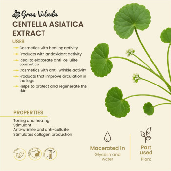 Centella asiatica Extrakt für die Haut. Online-Verkauf Centella asiatica Extrakt für die Haut. Online-Verkauf
