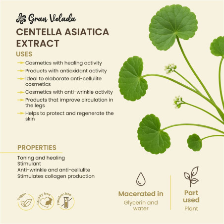 Centella asiatica Extrakt für die Haut. Online-Verkauf