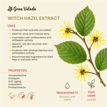 Hamamelis-Extrakt für Kosmetika Online-Verkauf. Hamamelis-Extrakt für Kosmetika Online-Verkauf.