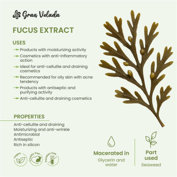 Fucus extrakt pre kozmetiku. Online predaj. Fucus extrakt pre kozmetiku. Online predaj.