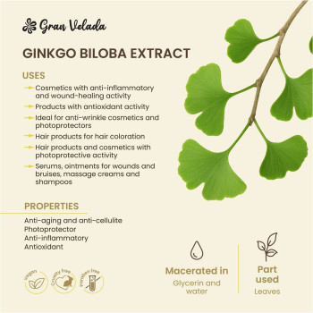 Ginkgo biloba Extrakt für die Haut. Online-Verkauf