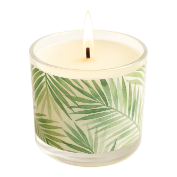 Palmwachs zur Herstellung von Kerzen im Glas. Online-Verkauf Palmwachs zur Herstellung von Kerzen im Glas. Online-Verkauf