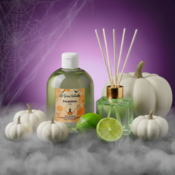 Chill mikado refill - Zitrusduft ideal für Halloween