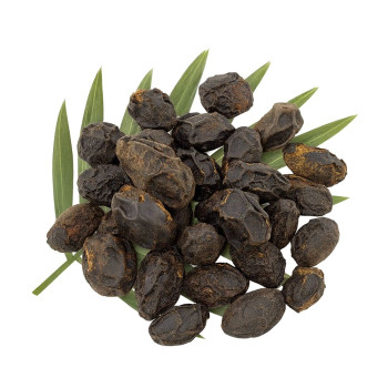 Sabal-Extrakt für Haare. Online-Verkauf.