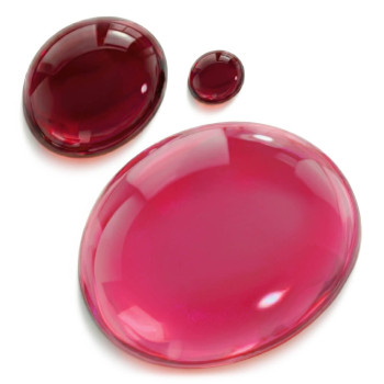 Konzentrierte weinrote Färbung. Online-Verkauf.