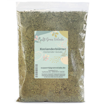 Korianderblätter