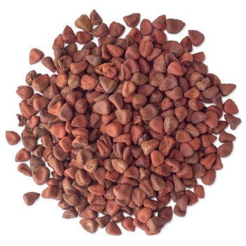 Annattosamen kaufen – Naturkosmetik & Färbemittel | Gran Velada