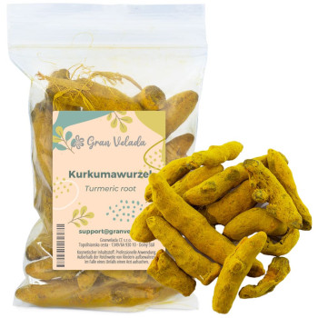 Kurkumawurzel
