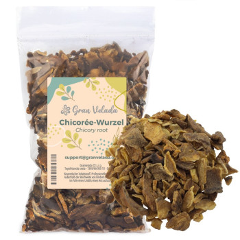 Chicorée-Wurzel