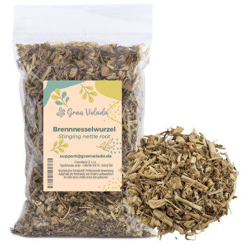 Grüne Brennnesselwurzel