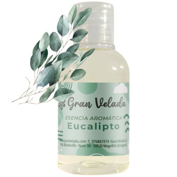 Duftöl Eukalyptus – Frischer, balsamischer Duft für Kosmetik und Kerzen.