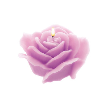 Öffnen Rosa Form zur Herstellung von Kerzen.