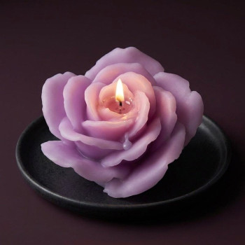 Öffnen Rosa Form zur Herstellung von Kerzen.