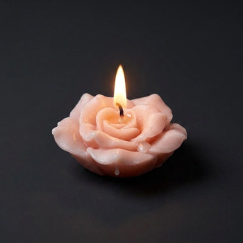 Form zur Hertsellung von Kerzen 6 Rosen Delux.