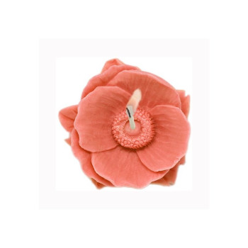 4 orientalische Mohnblumen Form zur Herstellung von Kerzen.