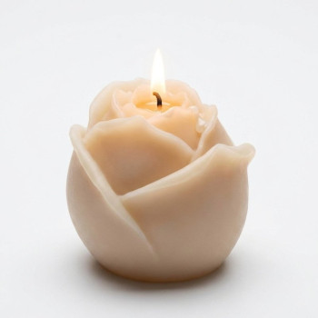 Silikonform mit 6 geschlossenen Mini-Rosen für Seifen und Kunsthandwerk.
