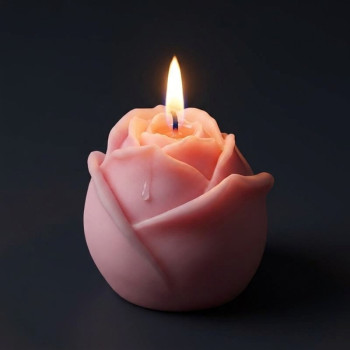 Silikonform mit 6 geschlossenen Mini-Rosen für Seifen und Kunsthandwerk.