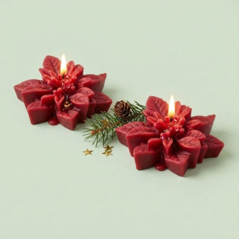 Silikonform „Weihnachtsstern“ zum Herstellen von Kerzen.