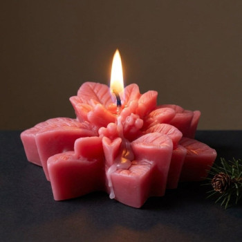 Silikonform „Weihnachtsstern“ zum Herstellen von Kerzen.