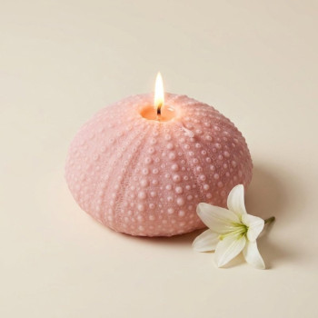 Molde de silicone coral redondo para fazer sabonetes e artesanato.
