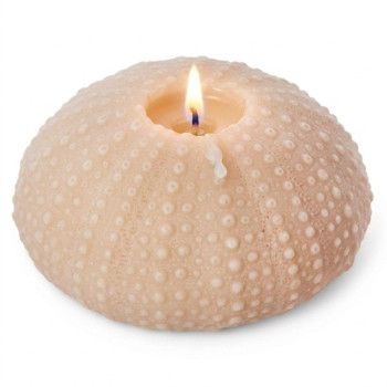 Molde de silicone coral redondo para fazer sabonetes e artesanato.