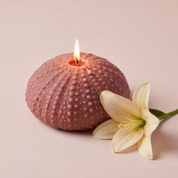 Molde de silicone coral redondo para fazer sabonetes e artesanato.